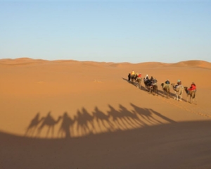 7 Jours Tour de Casablanca vers le desert