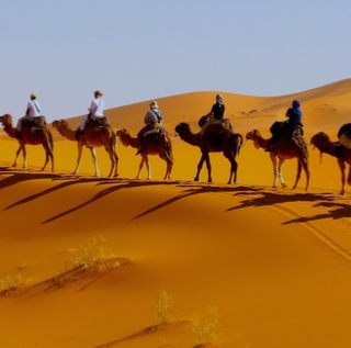 14 days Tangier Sahara desert tour
