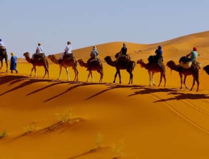 14 days Tangier Sahara desert tour