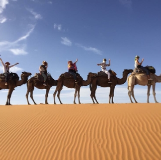 10 days Tangier to Desert and Marrakech Tour