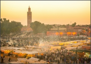 1 jour excursion de Casablanca vers Marrakech