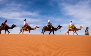 private 3 days tour from Fes to desert and Marrakech,3 days Fes to Sahara trip