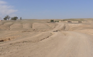 Quad, Dromadaire au désert d’Agafay