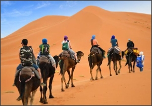 All 4-10 Day Tours from Marrakech