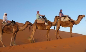 Marrakech to Chefchaouen Tour via desert