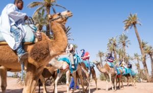 2019 day trip in Marrakech at Christmas Day from Casablanca