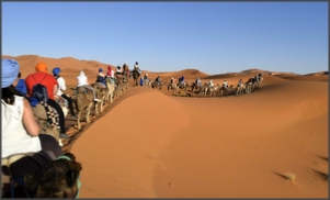 2 days Excursion from Agadir to Tamraght desert