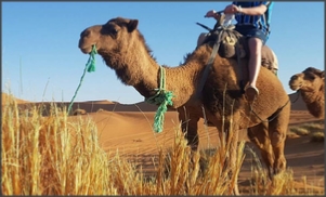 7 Days Hiking from Fes to Merzouga desert