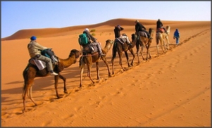 private 3 days Marrakech tour to desert and Fes,Marrakech family travel 3 days