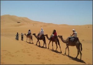 11 days around Sahara desert tour from Casablanca