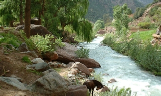 Day trip from Marrakech to Ourika valley