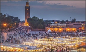 1 Day excursion from Casablanca to Marrakech