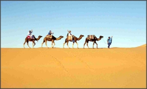 3 Days Shared desert tour to Merzouga,3 days Marrakech budget travel to Sahara desert