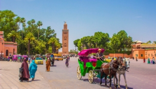 1 jour excursion de Agadir vers Marrakech