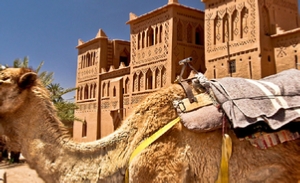 Marrakech to Ouarzazate Tour